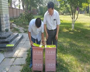 20160517_140404.jpg